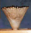 dansel-vase.jpg (13612 bytes)